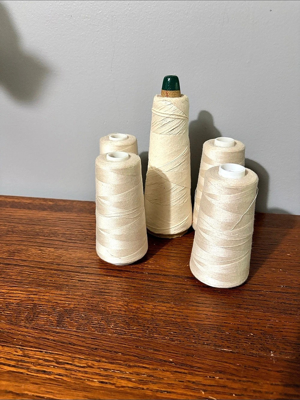 Rocky Mountain Thread Cones Cream Polyester Set of 5
